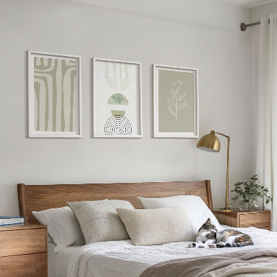 3 paveikslų rinkinys su rėmais Geometriniai augalų raštai