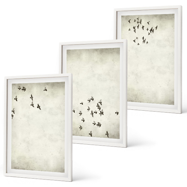 3 paveikslų rinkinys su rėmais Minimalistinis paukščių piešinys