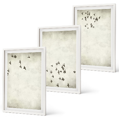 3 paveikslų rinkinys su rėmais Minimalistinis paukščių piešinys