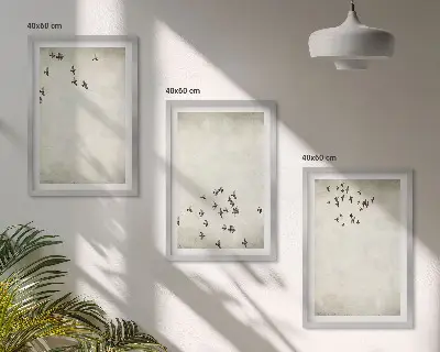 Minimalistinis paukščių piešinys 3 paveikslų rinkinys su rėmais