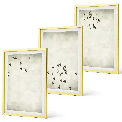 Minimalistinis paukščių piešinys 3 paveikslų rinkinys su rėmais