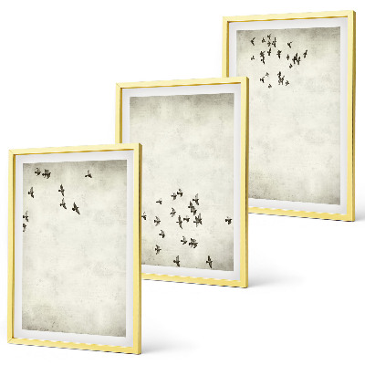 3 paveikslų rinkinys su rėmais Minimalistinis paukščių piešinys