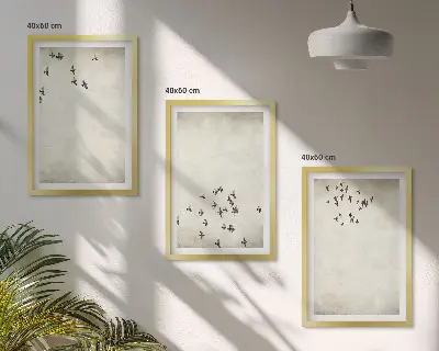 Minimalistinis paukščių piešinys 3 paveikslų rinkinys su rėmais