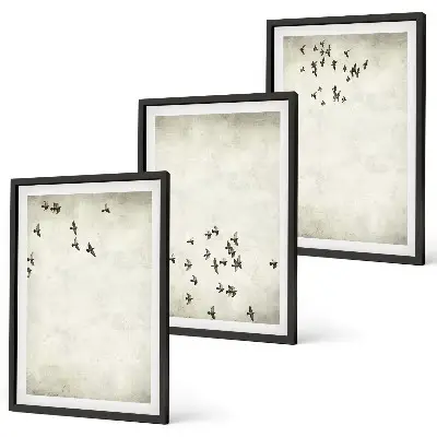 Minimalistinis paukščių piešinys 3 paveikslų rinkinys su rėmais