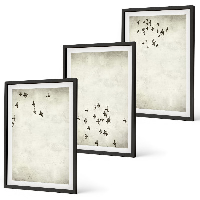 3 paveikslų rinkinys su rėmais Minimalistinis paukščių piešinys