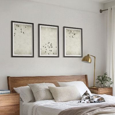 3 paveikslų rinkinys su rėmais Minimalistinis paukščių piešinys
