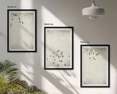 Minimalistinis paukščių piešinys 3 paveikslų rinkinys su rėmais