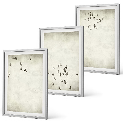 3 paveikslų rinkinys su rėmais Minimalistinis paukščių piešinys