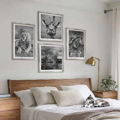 4 paveikslų rinkinys su rėmais Laukiniai gyvūnai Liūtas Jaguaras Žirafa Zebrai