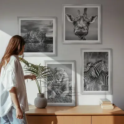 4 paveikslų rinkinys su rėmais laukiniai gyvūnai: liūtas, jaguaras, žirafa ir zebrai