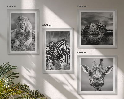4 paveikslų rinkinys su rėmais Laukiniai gyvūnai Liūtas Jaguaras Žirafa Zebrai