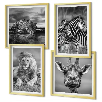 4 paveikslų rinkinys su rėmais laukiniai gyvūnai: liūtas, jaguaras, žirafa ir zebrai