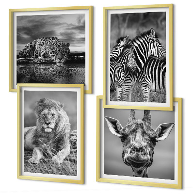4 paveikslų rinkinys su rėmais Laukiniai gyvūnai Liūtas Jaguaras Žirafa Zebrai