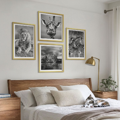 4 paveikslų rinkinys su rėmais Laukiniai gyvūnai Liūtas Jaguaras Žirafa Zebrai