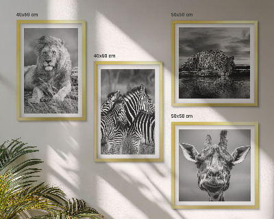 4 paveikslų rinkinys su rėmais Laukiniai gyvūnai Liūtas Jaguaras Žirafa Zebrai