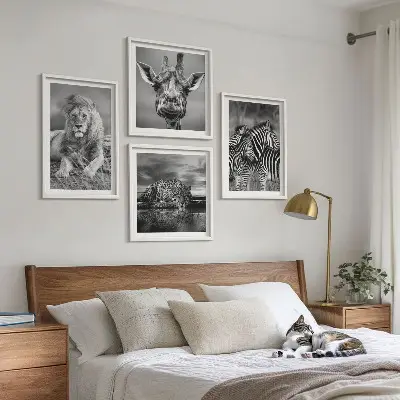 4 paveikslų rinkinys su rėmais laukiniai gyvūnai: liūtas, jaguaras, žirafa ir zebrai