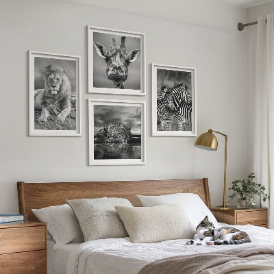 4 paveikslų rinkinys su rėmais Laukiniai gyvūnai Liūtas Jaguaras Žirafa Zebrai