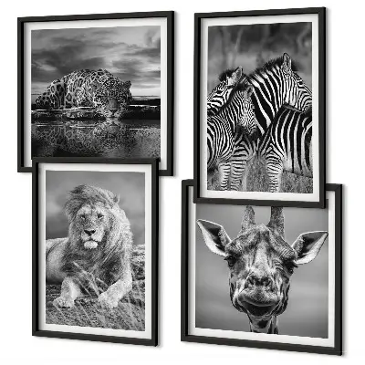 4 paveikslų rinkinys su rėmais laukiniai gyvūnai: liūtas, jaguaras, žirafa ir zebrai
