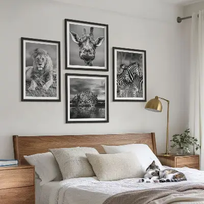 4 paveikslų rinkinys su rėmais laukiniai gyvūnai: liūtas, jaguaras, žirafa ir zebrai