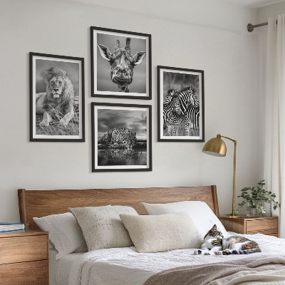 4 paveikslų rinkinys su rėmais Laukiniai gyvūnai Liūtas Jaguaras Žirafa Zebrai