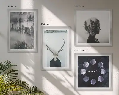 Paveikslų rinkinys su rėmais miško rūko, mėnulio, kaukolės ir moters motyvais
