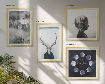 Paveikslų rinkinys su rėmais miško rūko, mėnulio, kaukolės ir moters motyvais