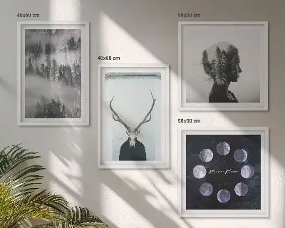Paveikslų rinkinys su rėmais miško rūko, mėnulio, kaukolės ir moters motyvais