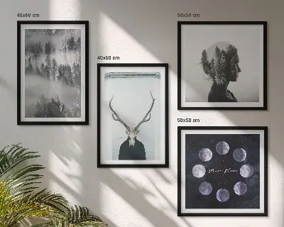 Paveikslų rinkinys su rėmais miško rūko, mėnulio, kaukolės ir moters motyvais