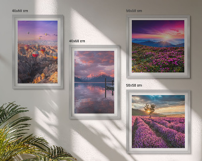 Paveikslų kompozicija ant sienos Levandų laukų saulėlydis