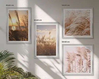 Paveikslų kompozicija ant sienos boho stiliaus žolės lauko saulėlydyje