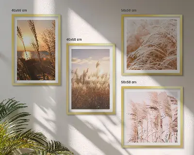 Paveikslų kompozicija ant sienos boho stiliaus žolės lauko saulėlydyje