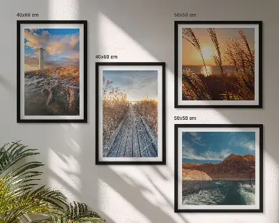 Švyturio žolės molas 4 paveikslų rinkinys su rėmais