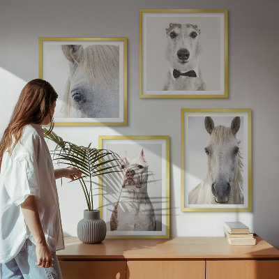 4 paveikslų rinkinys su rėmais Elegantiški šunų ir arklių portretai