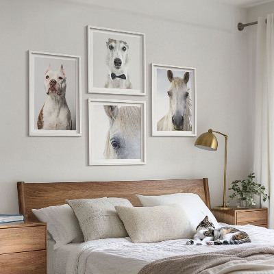 4 paveikslų rinkinys su rėmais Elegantiški šunų ir arklių portretai