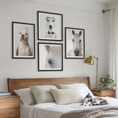 4 paveikslų rinkinys su rėmais Elegantiški šunų ir arklių portretai