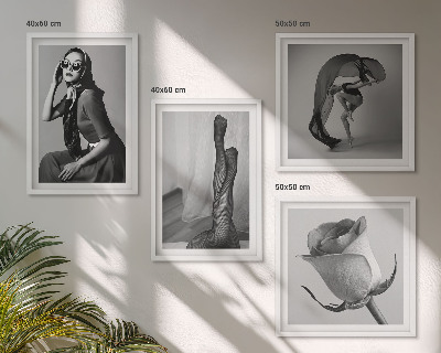 Paveikslų kompozicija ant sienos Stilingi elegantiškų moterų portretai