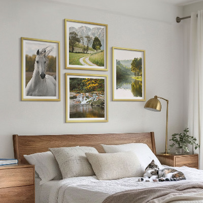 4 paveikslų rinkinys su rėmais Baltųjų arklių upės gamta