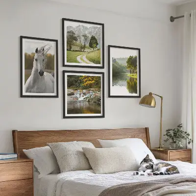 Baltųjų arklių upės gamta 4 paveikslų rinkinys su rėmais
