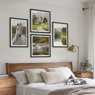 4 paveikslų rinkinys su rėmais Baltųjų arklių upės gamta