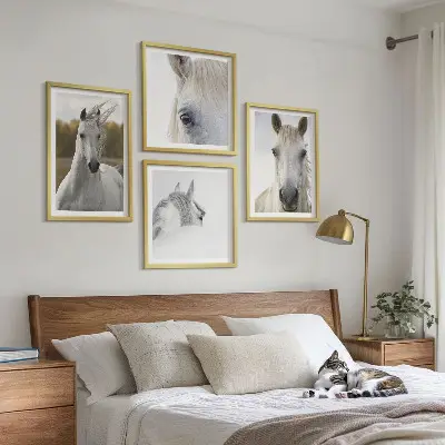 Balti arkliai 4 paveikslų rinkinys su rėmais