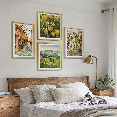4 paveikslų rinkinys su rėmais Žavingos citrinų žiedų gatvės