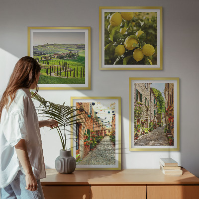 4 paveikslų rinkinys su rėmais Žavingos citrinų žiedų gatvės