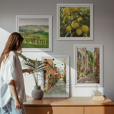 4 paveikslų rinkinys su rėmais Žavingos citrinų žiedų gatvės