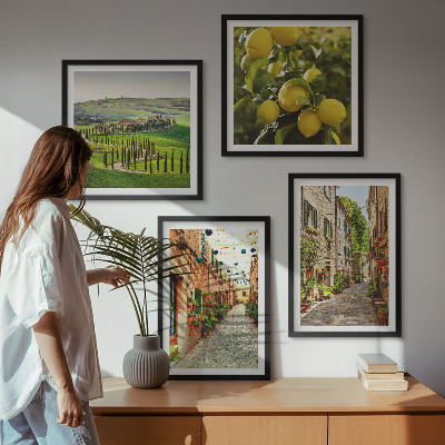 4 paveikslų rinkinys su rėmais Žavingos citrinų žiedų gatvės