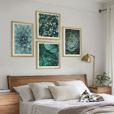 4 paveikslų rinkinys su rėmais Žali ir turkio spalvos sukulentai