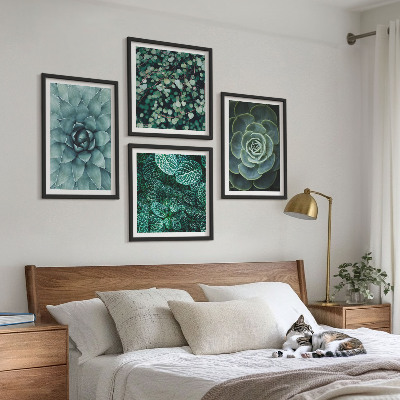 4 paveikslų rinkinys su rėmais Žali ir turkio spalvos sukulentai