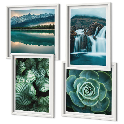 Daugiadalis paveikslas su rėmu Sukulentų lapų stambiu planu