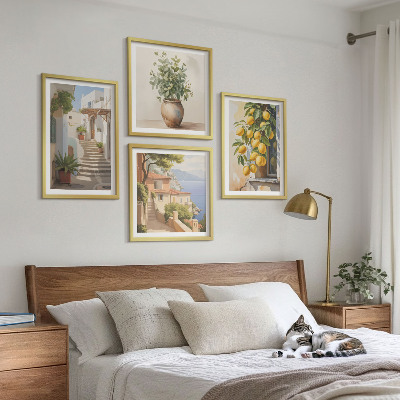 4 paveikslų rinkinys su rėmais Citrininiai vazoniniai augalai gatvėje
