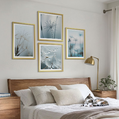 4 paveikslų rinkinys su rėmais Kiaulpienių vandens lašai