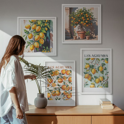 Paveikslų kompozicija ant sienos Vaisių citrusinių vaisių raštai